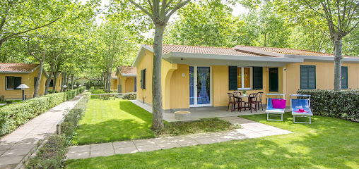 AF1QipM5nWeaAQ2zH8DRgsTOA4xNIL712GmHhPMnr3DLw508 h240 k no