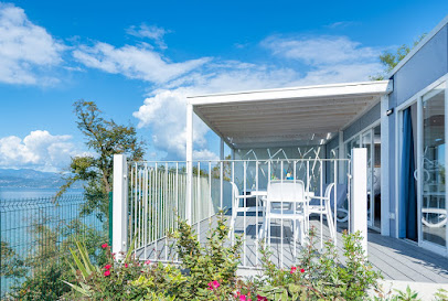 AF1QipM7qW82Gu9WuRrJAvimY2lqqhg41mLC85Ci5Xz8w408 h273 k no