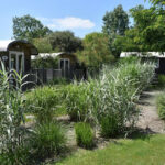 AF1QipMCW08 ElrSLCX0XaTUin20J2PL9gFkF5KH8qO4w408 h272 k no