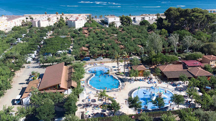 AF1QipMV1BUwytPauK6iSrBCF3AZyQD9o4Yct8iWWro w426 h240 k no