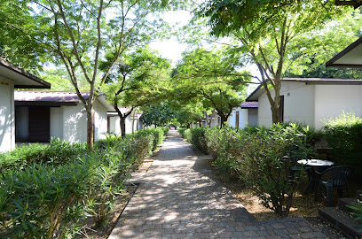 AF1QipMabE 2EYp xTnh4qyJ hkYUVkQ2MoACJZjRW6Tw408 h270 k no