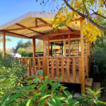 AF1QipMbmD6 eeI5ayO7zcjKVMPiHYASHvVXeEbZzGZnw408 h305 k no