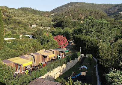 AF1QipMbviOuSteEzIqhEwoX9PttsnB7RGSB UhXgfQXw408 h282 k no