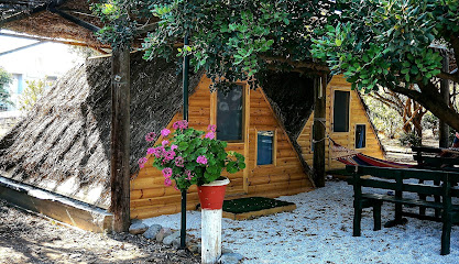 AF1QipMnNBOGMQc0pj4yU39iB7w0jg3p277 43n37z8w417 h240 k no