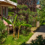 AF1QipMyIoK3yY5bBcBYR9fObrTDjm XWziJUJEM hBWw408 h271 k no