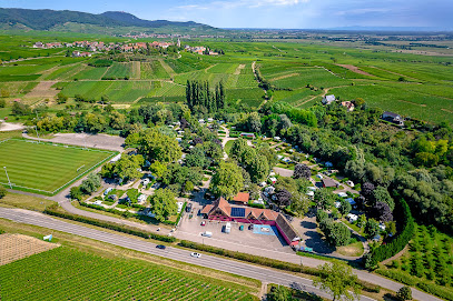 AF1QipMyydI s6pxW4n4TJKEpV6Xu2dC37ElsoN0 Vsw408 h271 k no