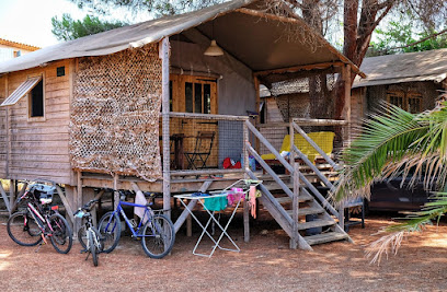 AF1QipMzHE3j5JLsQbNqLVl0y8E9uBzX6fIPCWnMaxSlw408 h267 k no