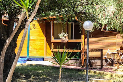 AF1QipN0FmetUcbfqpzk 8fzMNkTCUbAUPRMdQhoXkz w408 h272 k no