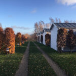 Pole Namiotowe Horyzont – Chłapowo Pologne