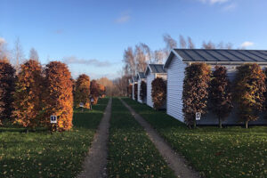 Pole Namiotowe Horyzont – Chłapowo Pologne