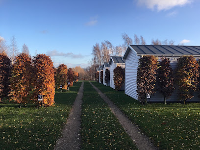 AF1QipN0oqwTl3IUU1MZ2Rkoriit5rgglaHK595e2KTLw408 h306 k no