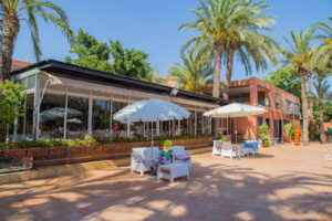 Càmping Les Palmeres – Crevillent Espagne