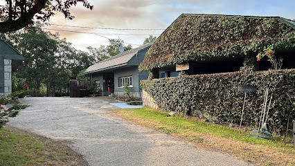 AF1QipNBquchnOXHWqUAf PaIgHlnBC9HNh GvzdcMrpw426 h240 k no