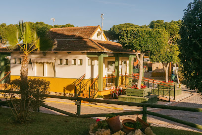 AF1QipNFSyZCZWTYhVl4YqijnqD6dQDtKFn5 MRkJoh1w408 h272 k no