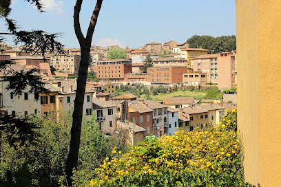 AF1QipNijhnPC1PGYvEUdjOYFXDZvcTz AvY2DqLg4znw408 h272 k no