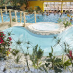 AF1QipNlpmFT7ywCbFVv7FPwIbUQa mRhvPNBcDJACrEw458 h240 k no