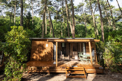 AF1QipNr2gEJhEKE1wEo3DlFcrf3jwo IDoLJaDZgSVsw408 h272 k no