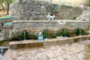 Camping Fuente de La Pascuala – Coto Ríos Espagne