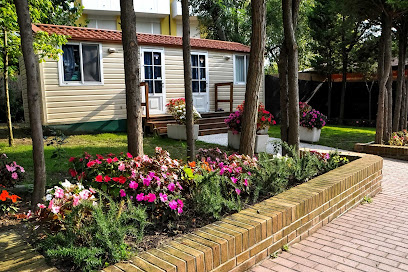 AF1QipNwhtIeG qFG8DgqWmojCsKTo0nV5WYPtMftNBTw408 h272 k no