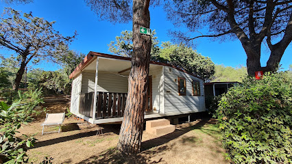Tavolara Camping Village - Loiri Porto San Paolo Italie 1 AF1QipNzrD3JaM4MzYPP8EOh wb90IF9r2yJtDjazcnlw426 h240 k no
