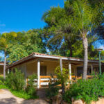 Càmping Park Platja Berà - Roda de Berà Espagne 15 AF1QipODK30o41xGnxjmz3hUhBrAv1hOzBbIhZt6iuEw408 h273 k no