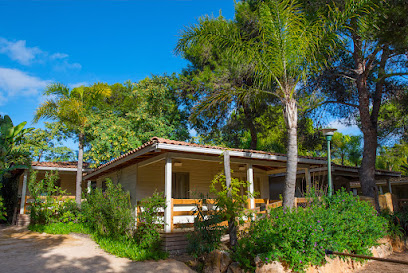 Càmping Park Platja Berà - Roda de Berà Espagne 1 AF1QipODK30o41xGnxjmz3hUhBrAv1hOzBbIhZt6iuEw408 h273 k no