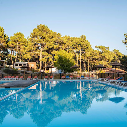 AF1QipOI3 LdnjVbvfW0qaOMkybGxq81Z01dtaU2Gf1vw408 h408 k no