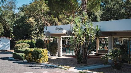 AF1QipOKXpdmuDx28U1lgrI2HhfEvqUVGISES5FVP9hdw427 h240 k no