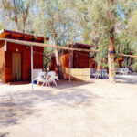 AF1QipOeW8gYkZ O2JHeKi6MTl4fcC1iQ7hp0KZRyceEw408 h306 k no