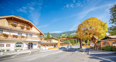 AF1QipOfTuQctyY375wmyv nsVqqG1EYPeHChMndmyNEw447 h240 k no