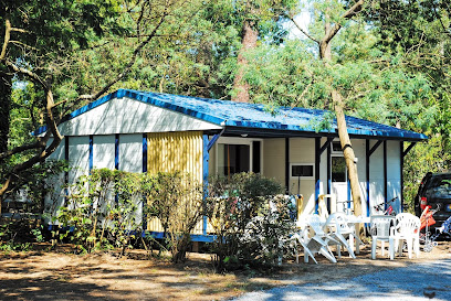 AF1QipOyUj1T3cPi8OvT pIrUdh18XqtyzZX9uoHJxZQw408 h273 k no