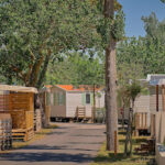 AF1QipPMLOMiyEDtvOFqcdcP7pzOgBfPPYfLldYzR6 cw408 h240 k no