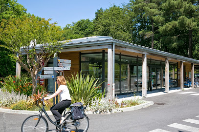 AF1QipPVGDPcy7XhySOLs6V3RedNWq6qgz SlucZ5EWgw408 h271 k no