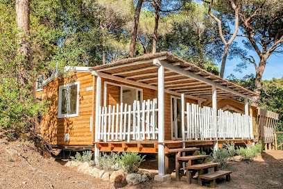 AF1QipPVkZsdvfejfRGW4uaVrmX4r176j1spAiMaHUpzw408 h272 k no