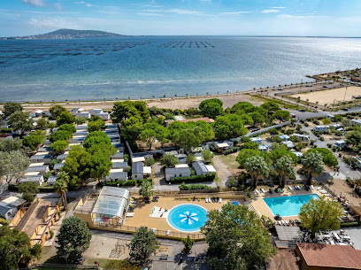 AF1QipPXMlNRwTpvWpwvaTbu9UE2CYKyLLWixg9E7w9Qw408 h305 k no