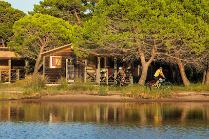 AF1QipP qCiPzu9IYs0E3dpqrbexYS3SXvoNFTsRiYprw408 h272 k no