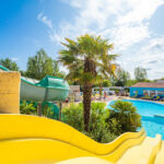 AF1QipPvvQx6SvywcwagDIPdpRxCsO8wmRGtcSz0YScFw408 h272 k no